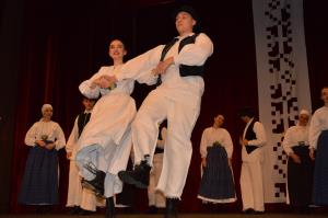 Območno srečanje odraslih folklornih skupin 15